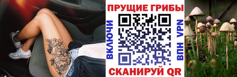 mega маркетплейс  Лысьва  Галлюциногенные грибы Cubensis 